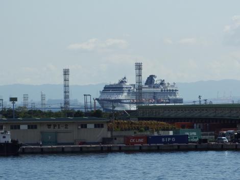 Celebrity Millennium