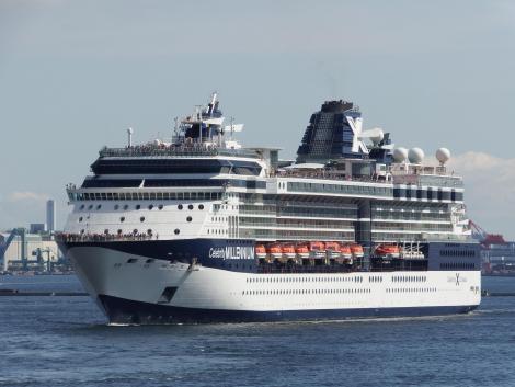 Celebrity Millennium