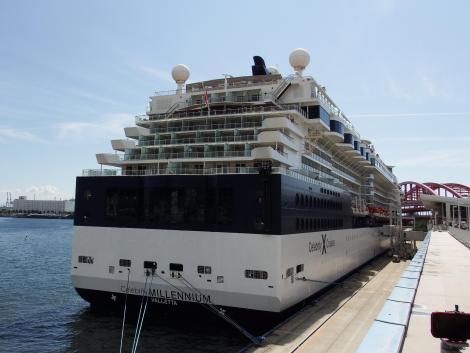Celebrity Millennium