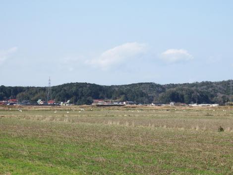 安来市沢町付近