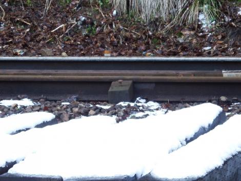 叡電 鞍馬駅のアトリ