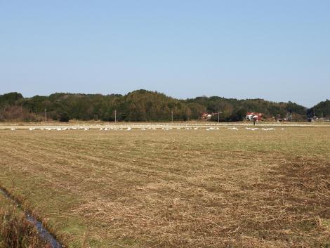 安来市赤崎町辺り