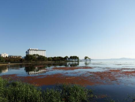 長浜の湖岸