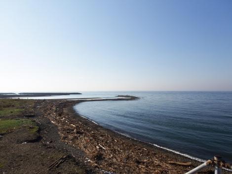 男里川河口右岸