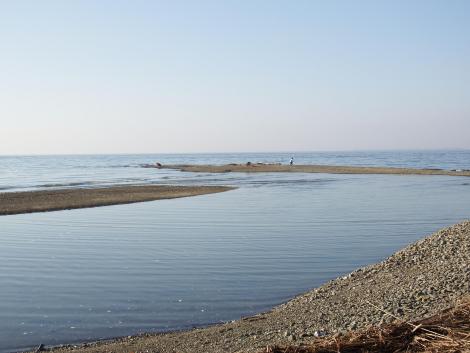 男里川河口右岸