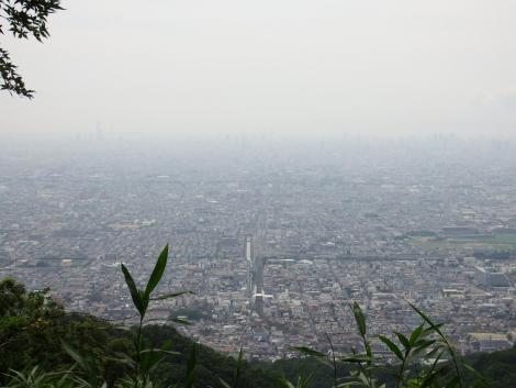 旗立山入口からの眺め