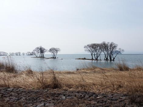 湖北野鳥センター前