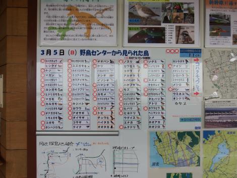 湖北野鳥センター
