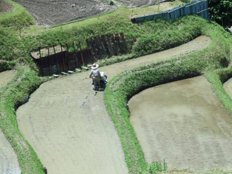 下赤坂の棚田