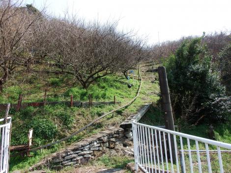 農業用モノレール