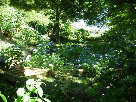 神戸森林植物園