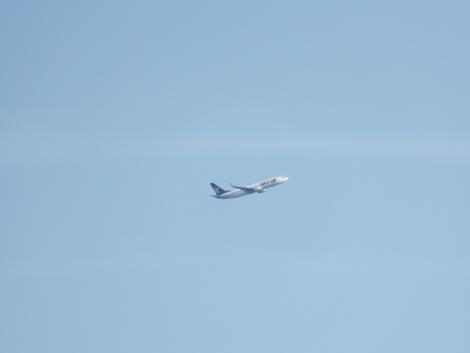 スカイマーク機