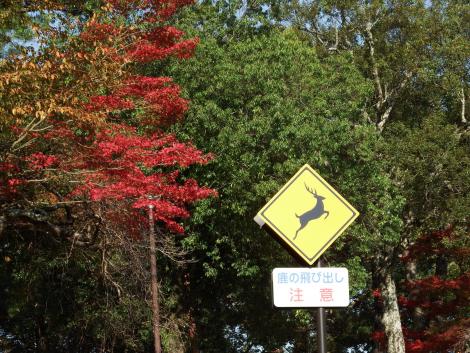 鹿注意の道路標識