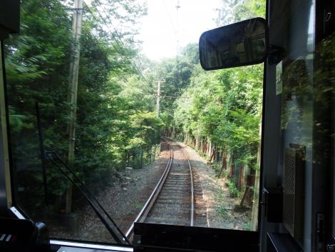 もみじのトンネル