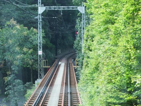 もみじのトンネル付近