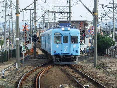 南海めでたいでんしゃ水色