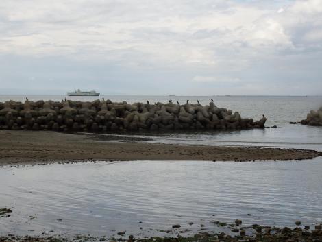 南海フェリー つるぎ