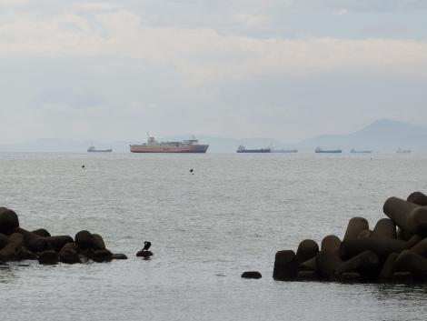 南海フェリー かつらぎ