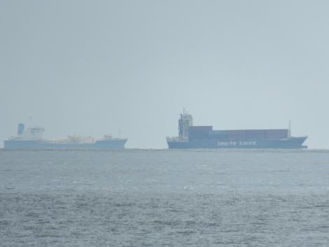 井本商運の内航コンテナ船