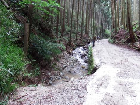 伏見林道