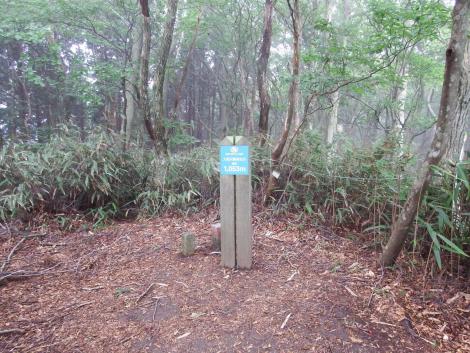 大阪府最高地点