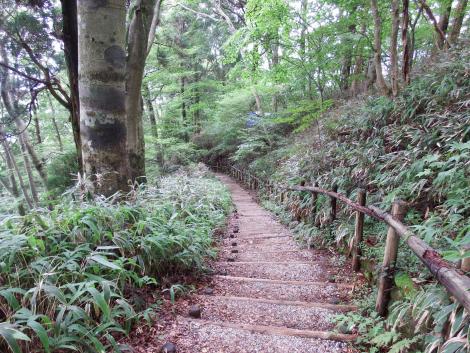 どこまでも続く下り階段の道