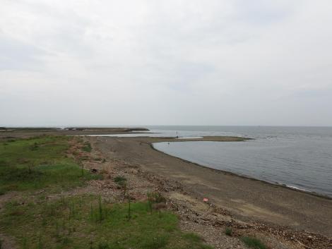 男里川河口干潟