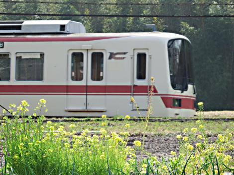 神鉄菜の花と5000系