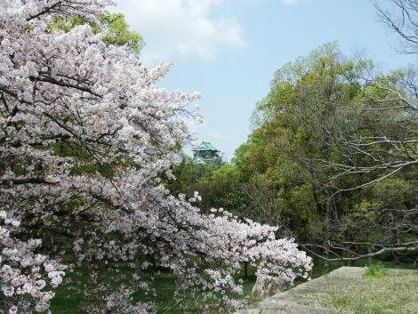 桜と天守閣