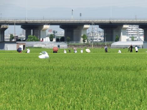 バーダーさんたち