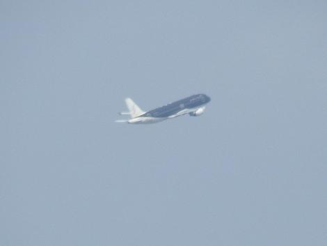 スターフライヤーA320