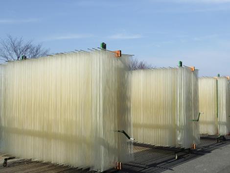 そうめんの天日干し