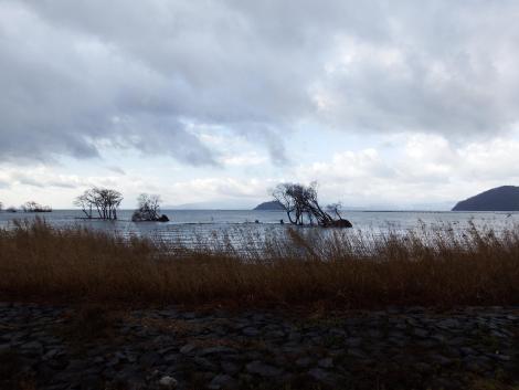 湖北野鳥センター前