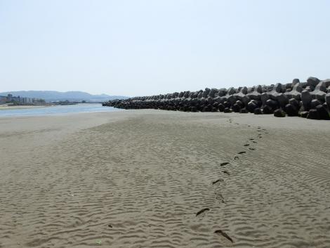 尾崎の浜