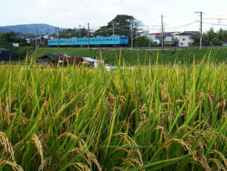 JR西 阪和線103系 JR西 阪和線103系