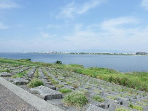 淀川河口近く左岸の土手道