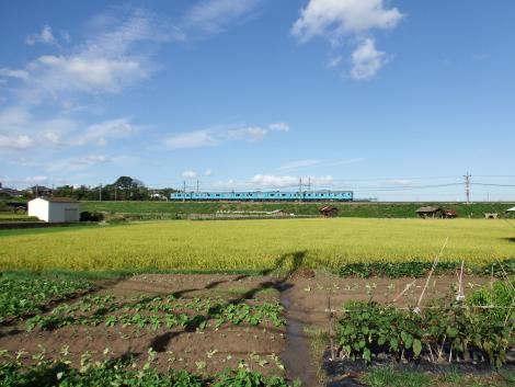 JR西 阪和線103系HJ404編成