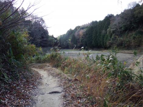 山の中の田んぼ