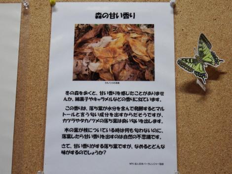 休憩所の森の秘密紹介ポスター