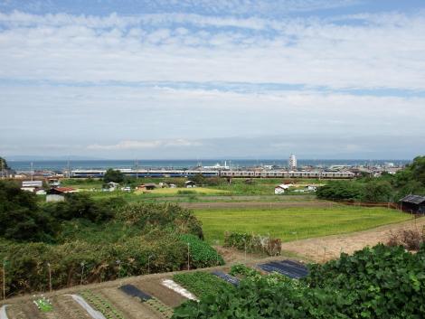 南海12000系+8000系サザン