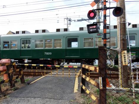 南海7000系＠鳥取ノ荘付近