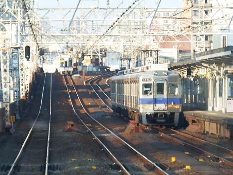 南海 萩ノ茶屋付近