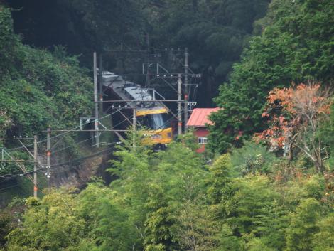 南海高野線高野下 30000系赤こうや