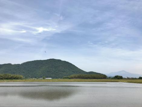 山本山と伊吹山