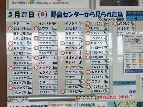 湖北野鳥センター