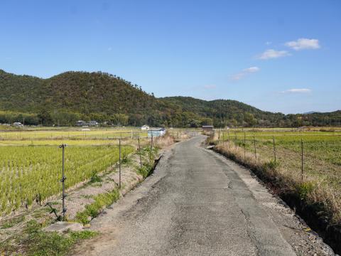 北嵯峨の田園