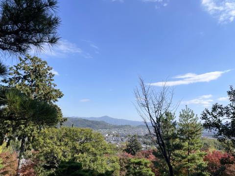 常寂光寺展望台