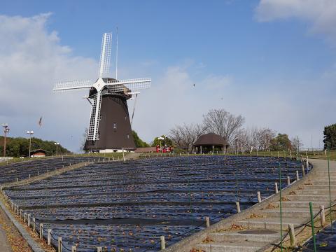 風車の丘