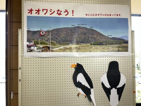 湖北野鳥センター