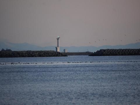 河芸漁港の灯台